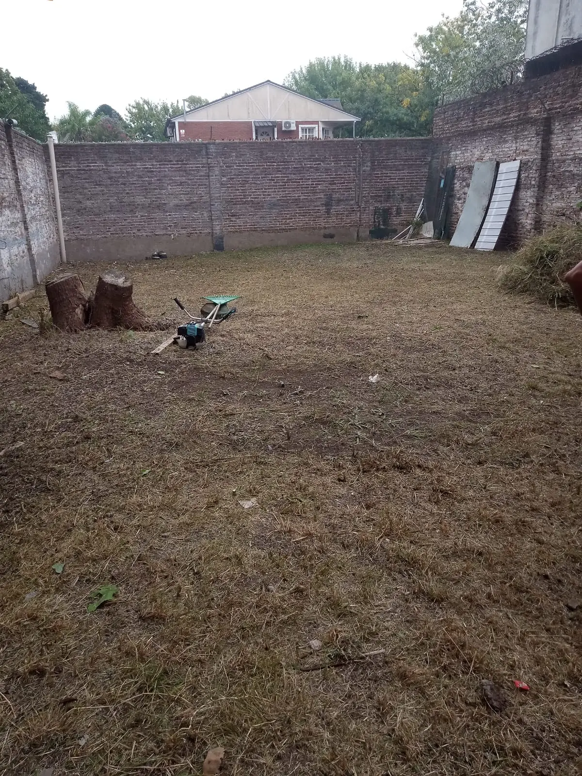 Servicio de Desmalezado de Terreno en Tortuguitas - Tigre
