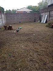 Servicio de Desmalezado de Terreno en Tortuguitas - Tigre