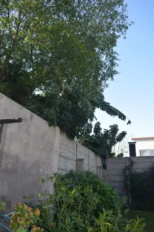 Desmalezado y Limpieza de Terreno en Florida Oeste, Vicente López - imagen 3