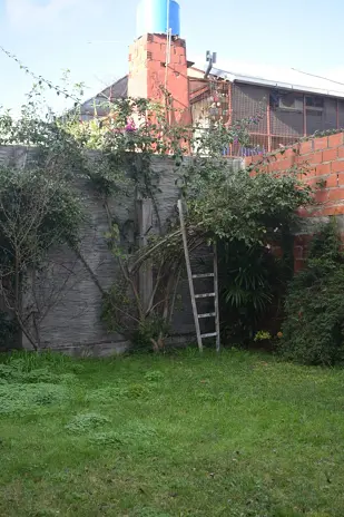 Desmalezado y Limpieza de Terreno en Florida Oeste, Vicente López - imagen 7