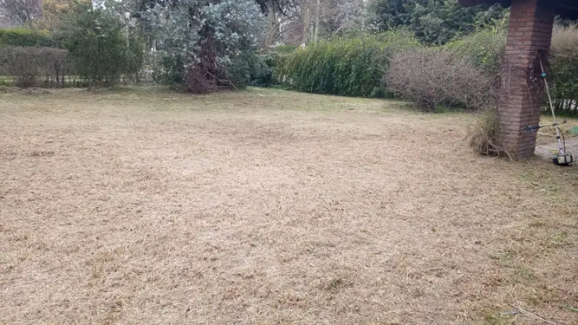 Limpieza y Desmalezado de Terreno en Maschwitz - imagen 3