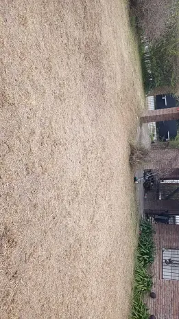 Limpieza y Desmalezado de Terreno en Maschwitz - imagen 8