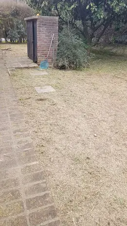 Limpieza y Desmalezado de Terreno en Maschwitz - imagen 9