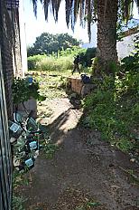 📍 Servicio de Desmalezado y Limpieza de Terreno en San Martín – Buenos Aires - imagen 6