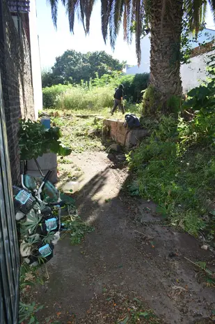 📍 Servicio de Desmalezado y Limpieza de Terreno en San Martín – Buenos Aires - imagen 9