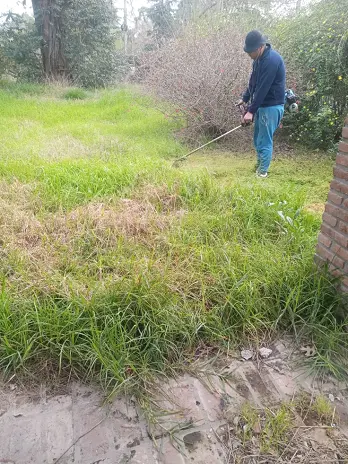 Limpieza y Desmalezado de Terreno en Maschwitz - imagen 10
