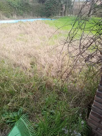 Limpieza y Desmalezado de Terreno en Maschwitz - imagen 12