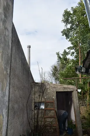 Poda de Altura y Limpieza de Ramas de 3 Árboles en Caseros - imagen 8