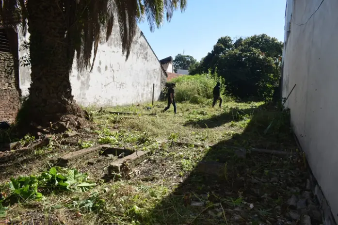 📍 Servicio de Desmalezado y Limpieza de Terreno en San Martín – Buenos Aires - imagen 10