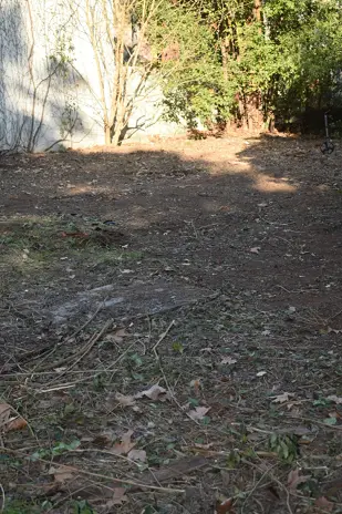Desmalezado de Terreno de 600 m² en Belgrano, CABA - imagen 1