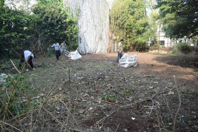 Desmalezado de Terreno de 600 m² en Belgrano, CABA - imagen 2