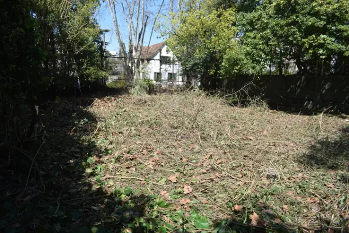 Desmalezado de Terreno de 600 m² en Belgrano, CABA - imagen 3