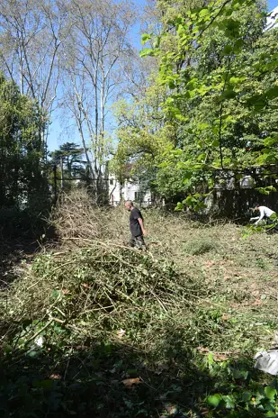 Desmalezado de Terreno de 600 m² en Belgrano, CABA - imagen 7