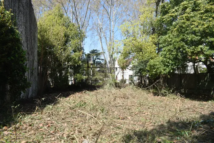 Desmalezado de Terreno de 600 m² en Belgrano, CABA - imagen 8