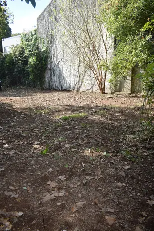 Desmalezado de Terreno de 600 m² en Belgrano, CABA - imagen 9
