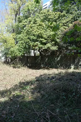 Desmalezado de Terreno de 600 m² en Belgrano, CABA - imagen 10