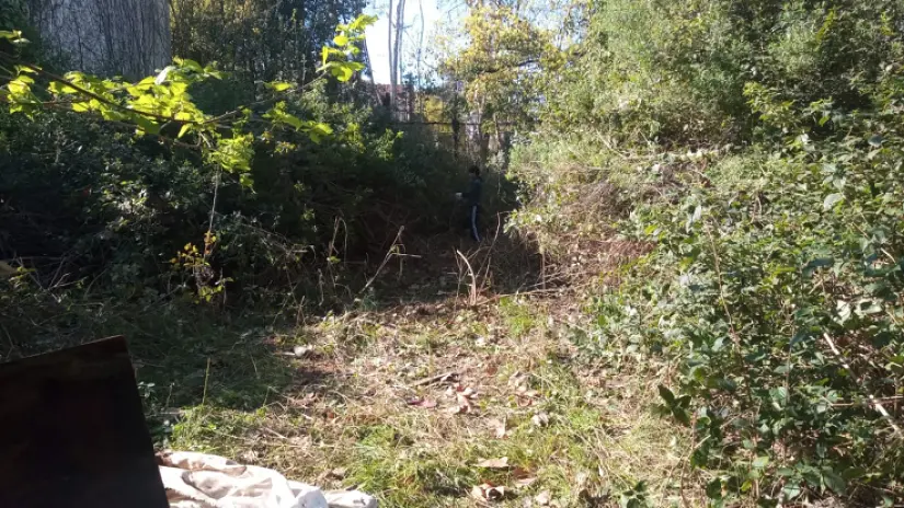 Desmalezado de Terreno de 600 m² en Belgrano, CABA - imagen 11