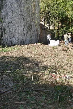 Desmalezado de Terreno de 600 m² en Belgrano, CABA - imagen 12
