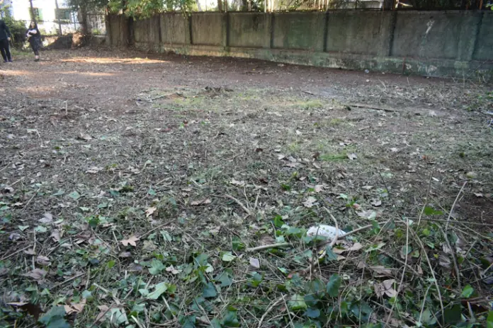 Desmalezado de Terreno de 600 m² en Belgrano, CABA - imagen 14
