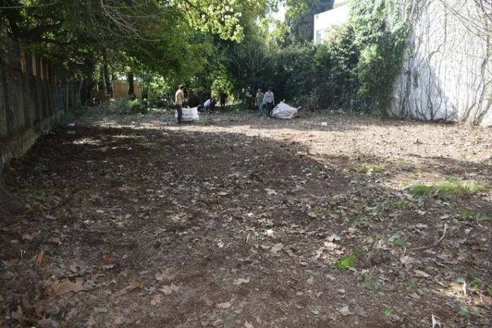 Desmalezado de Terreno de 600 m² en Belgrano, CABA - imagen 15