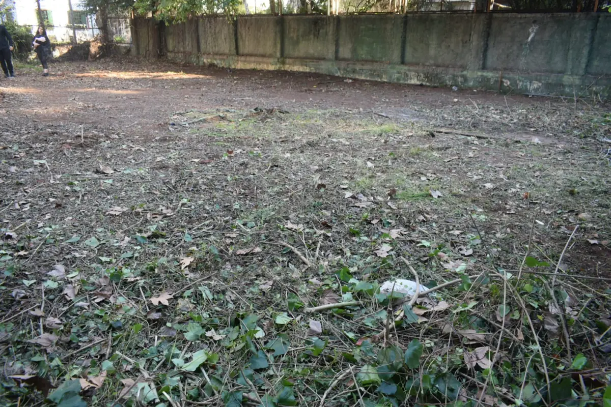 Desmalezado de Terreno de 600 m² en Belgrano, CABA