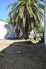 📍 Servicio de Desmalezado y Limpieza de Terreno en San Martín – Buenos Aires - imagen 16