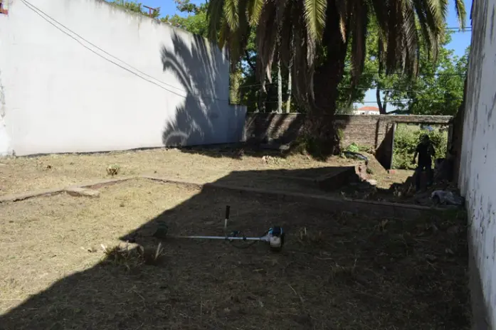 📍 Servicio de Desmalezado y Limpieza de Terreno en San Martín – Buenos Aires - imagen 14