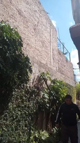 Poda de Enredaderas y Limpieza en Boulogne: Espacio Verde Recuperado - imagen 2
