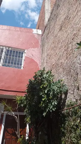Poda de Enredaderas y Limpieza en Boulogne: Espacio Verde Recuperado - imagen 7