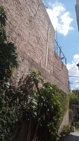 Poda de Enredaderas y Limpieza en Boulogne: Espacio Verde Recuperado - imagen 8