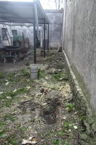 Poda y Corte de Moreras con Retiro de Ramas en Ballester, San Martín - imagen 1
