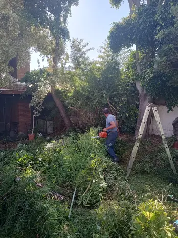 📍 Servicio de Desmalezado de Terreno en Saavedra – CABA, Buenos Aires - imagen 2