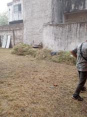 Servicio de Desmalezado de Terreno en Tortuguitas - Tigre - imagen 1