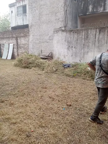 Servicio de Desmalezado de Terreno en Tortuguitas - Tigre - imagen 1