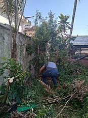 📍 Servicio de Desmalezado de Terreno en Saavedra – CABA, Buenos Aires - imagen 3