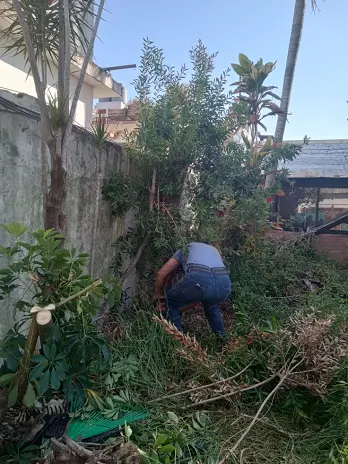 📍 Servicio de Desmalezado de Terreno en Saavedra – CABA, Buenos Aires - imagen 3