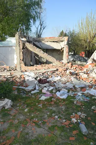 Limpieza de Terreno con Escombros en Rincón de Milberg, Tigre - imagen 2