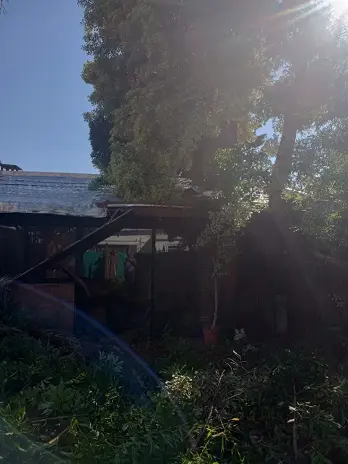 📍 Servicio de Desmalezado de Terreno en Saavedra – CABA, Buenos Aires - imagen 10