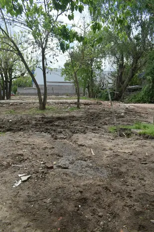 Limpieza de Terreno con Escombros en Rincón de Milberg, Tigre - imagen 24