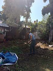 📍 Servicio de Desmalezado de Terreno en Saavedra – CABA, Buenos Aires - imagen 14