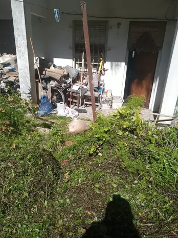 Desmalezado de Patio en Saavedra, CABA - imagen 3