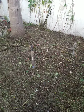 Desmalezado de Patio en Saavedra, CABA - imagen 12
