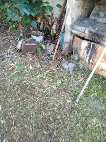 Desmalezado de Patio en Saavedra, CABA - imagen 13