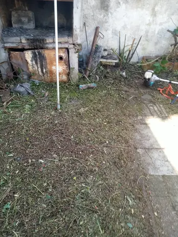 Desmalezado de Patio en Saavedra, CABA - imagen 14