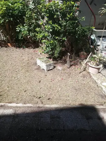 Desmalezado de Patio en Saavedra, CABA - imagen 15