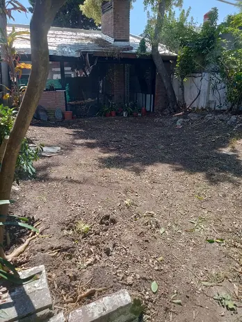 📍 Servicio de Desmalezado de Terreno en Saavedra – CABA, Buenos Aires - imagen 12