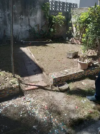 Desmalezado de Patio en Saavedra, CABA - imagen 18