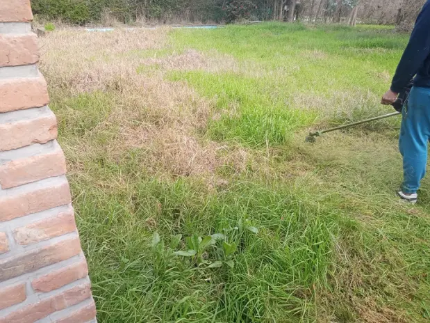 Necesito limpiar un terreno: empresa de limpieza y desmalezado en CABA y GBA - imagen 3
