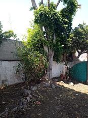 📍 Servicio de Desmalezado de Terreno en Saavedra – CABA, Buenos Aires - imagen 16