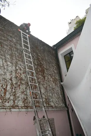 Desmonte de Techo, Demolición de Galpón y Limpieza de Terreno en San Fernando - imagen 1